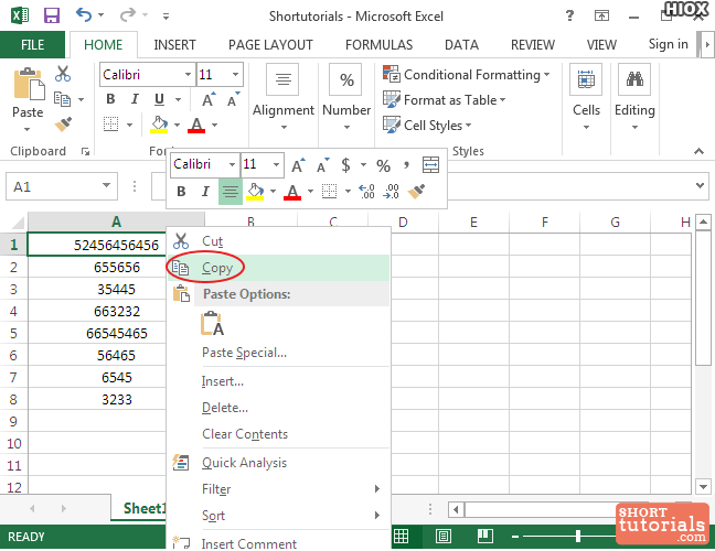 copy option1 ms excel 2013