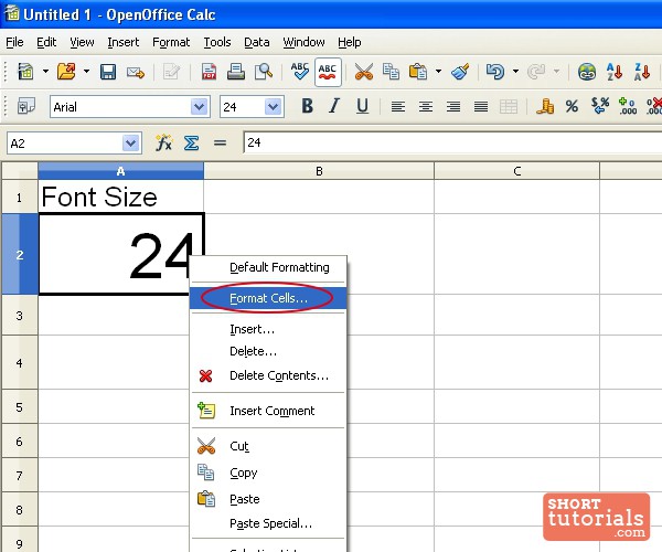 font size format