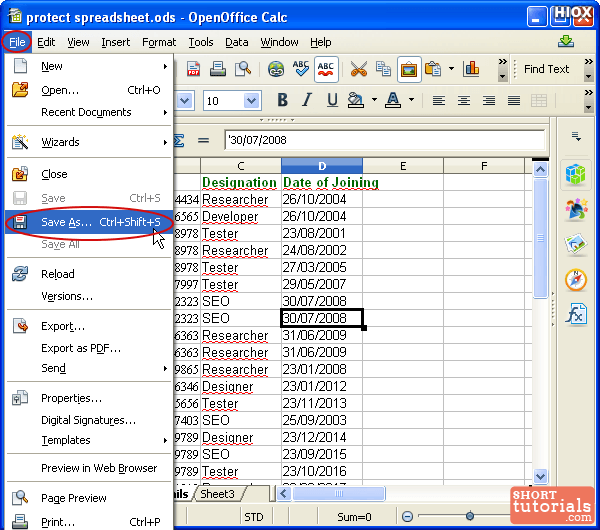 protect spreadsheet